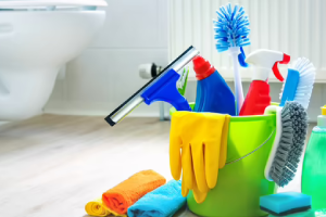 Messie Reinigung Recklinghausen